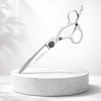 Preview: Pinin Q6 Erin